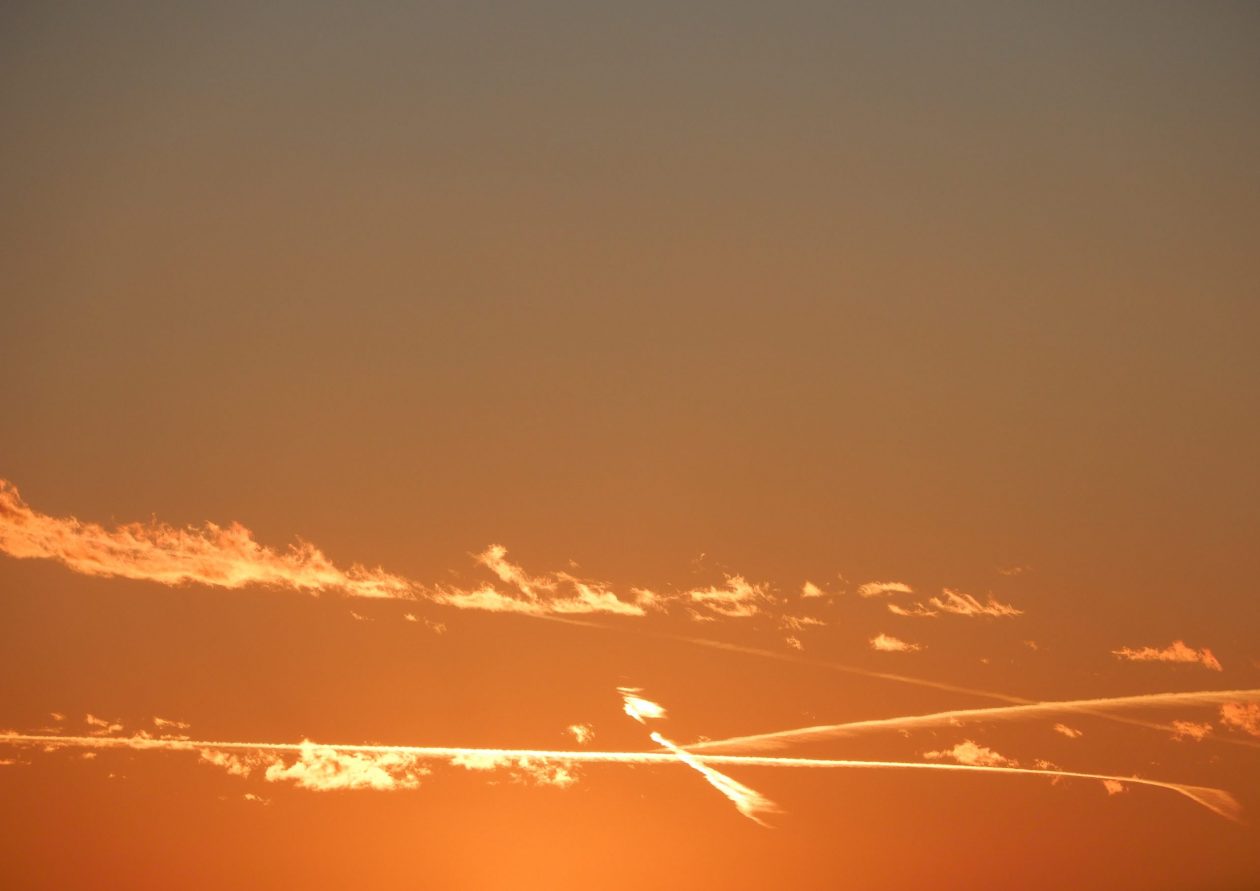 cropped-dscn36331-scaled-2