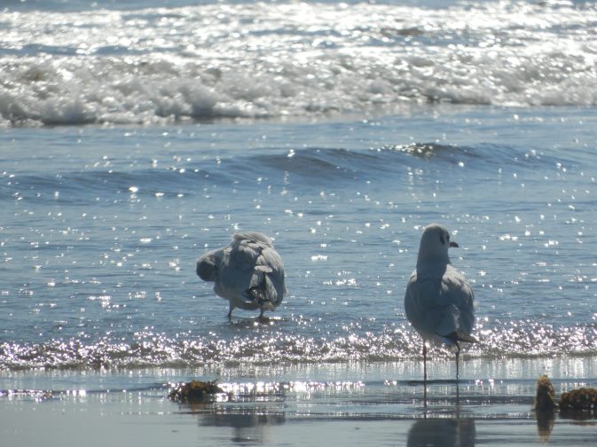 dscn31531-scaled-1-1